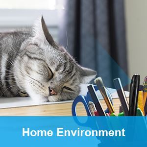 mini home security camera